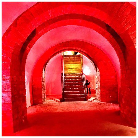 Mainzer Unterwelten e.V